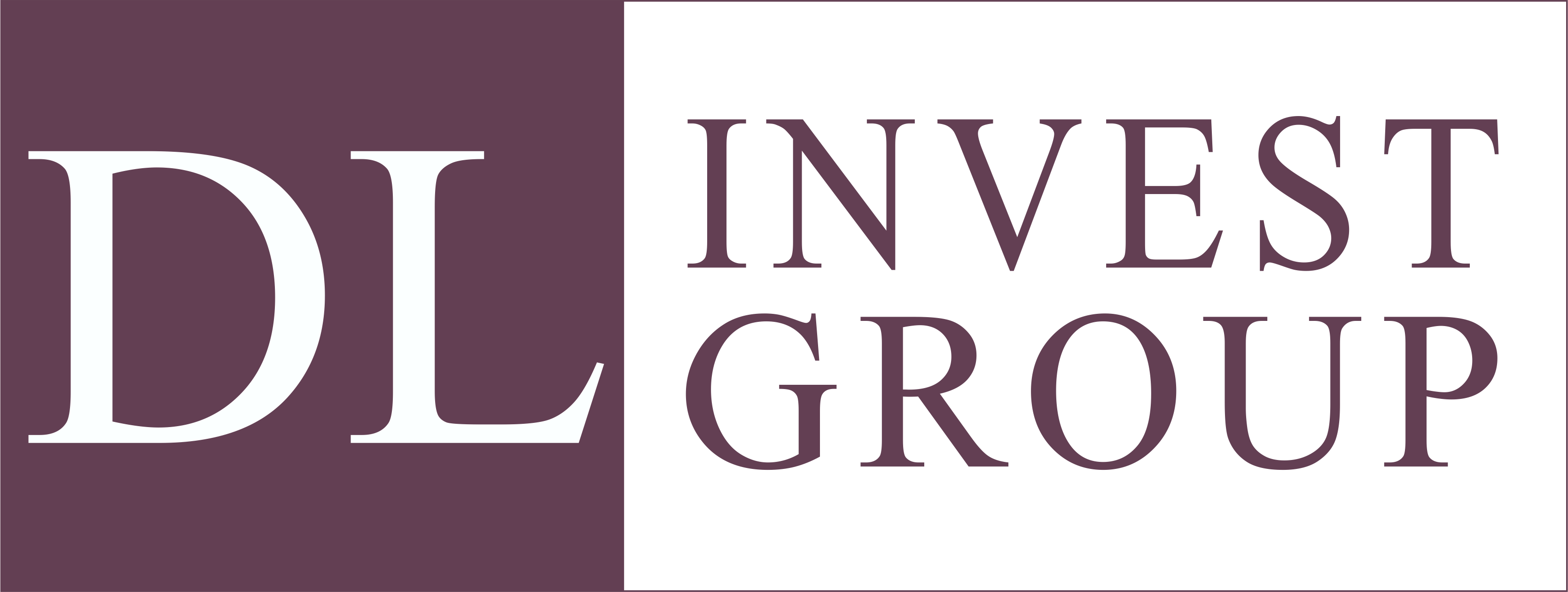 DL INVEST GROUP