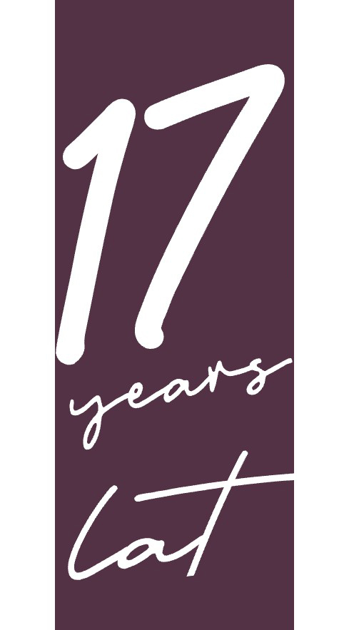 17 lat doświadczenia DL Invest Group